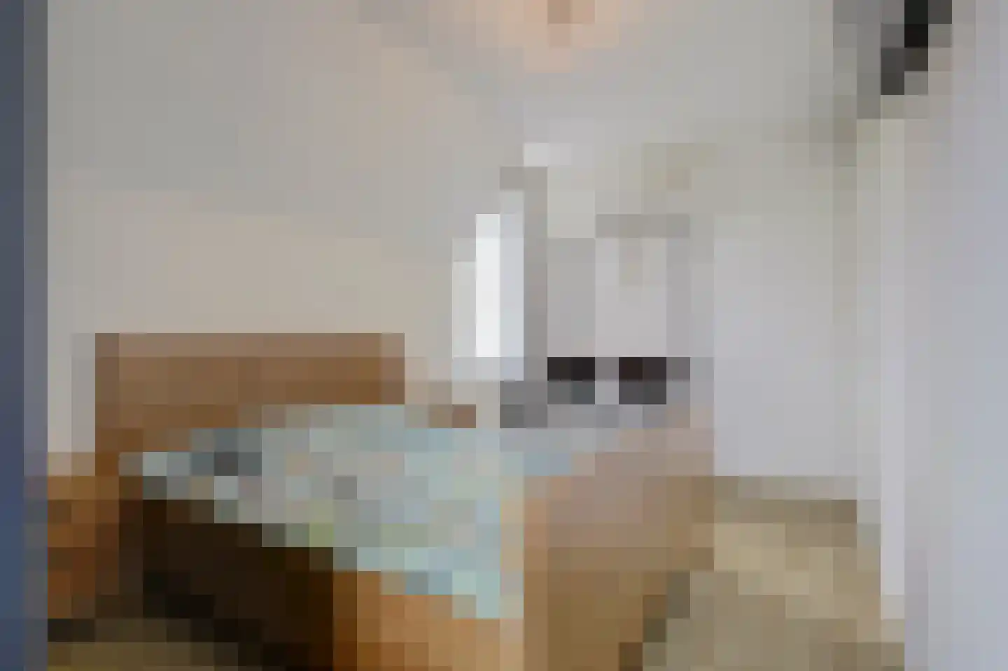 Waterviolier 18 Aalst thumbnail 16