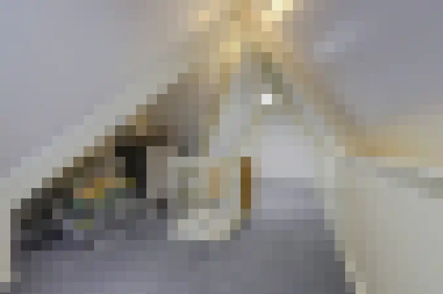 Waterviolier 18 Aalst thumbnail 23