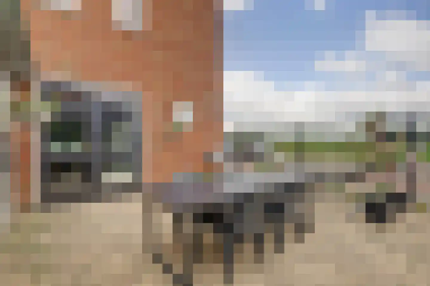 Waterviolier 18 Aalst thumbnail 25