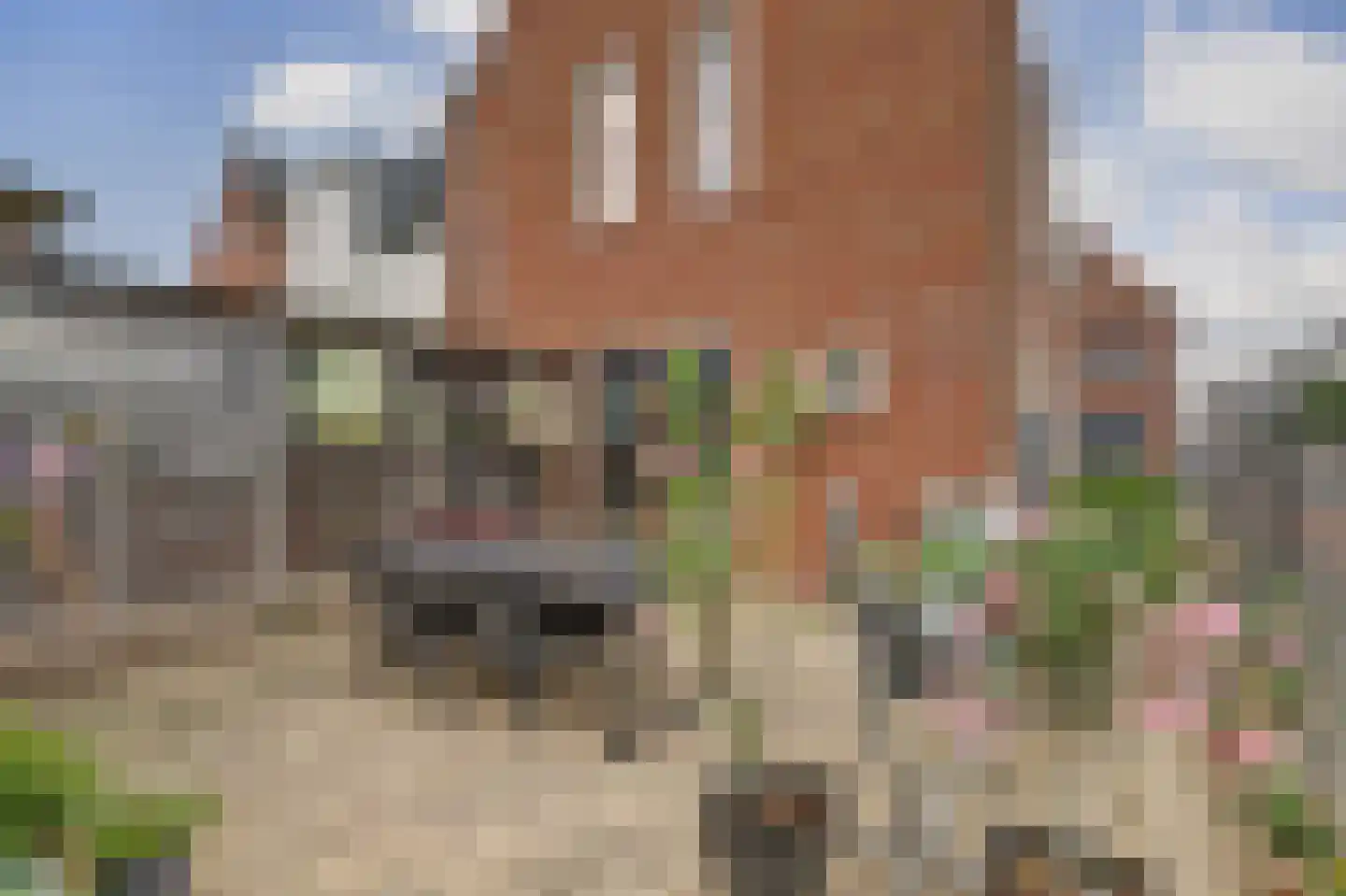 Waterviolier 18 Aalst thumbnail 26