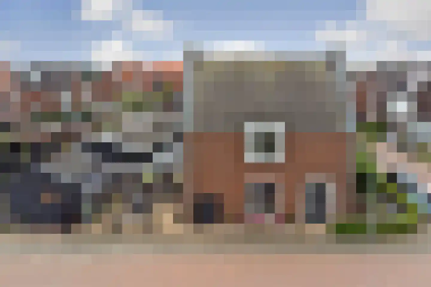 Waterviolier 18 Aalst thumbnail 28