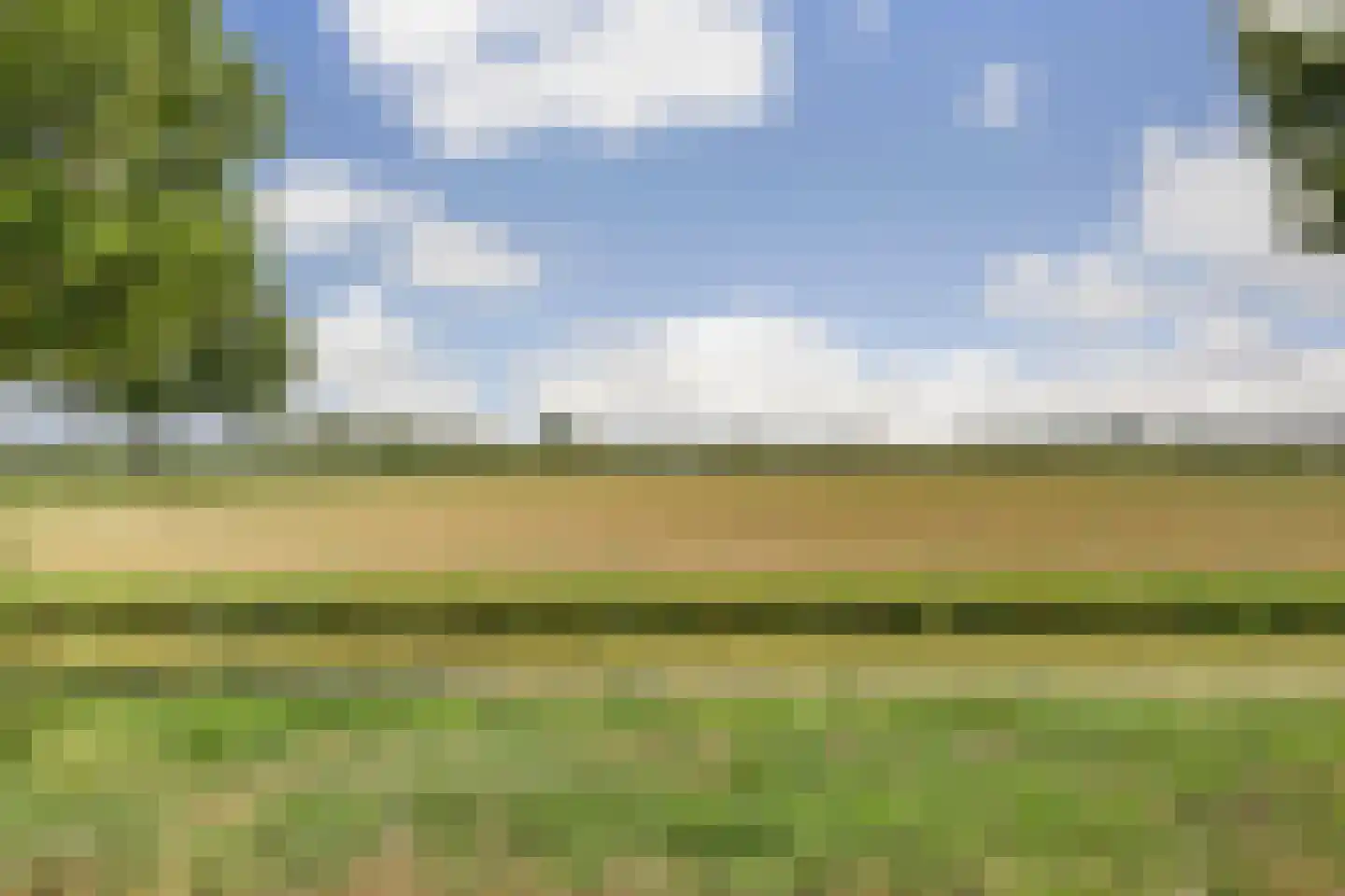 Waterviolier 18 Aalst thumbnail 30