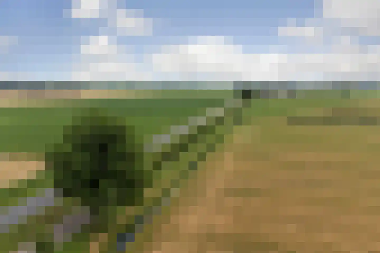 Waterviolier 18 Aalst thumbnail 31