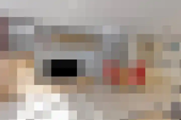 Waterviolier 190 Breda thumbnail 17