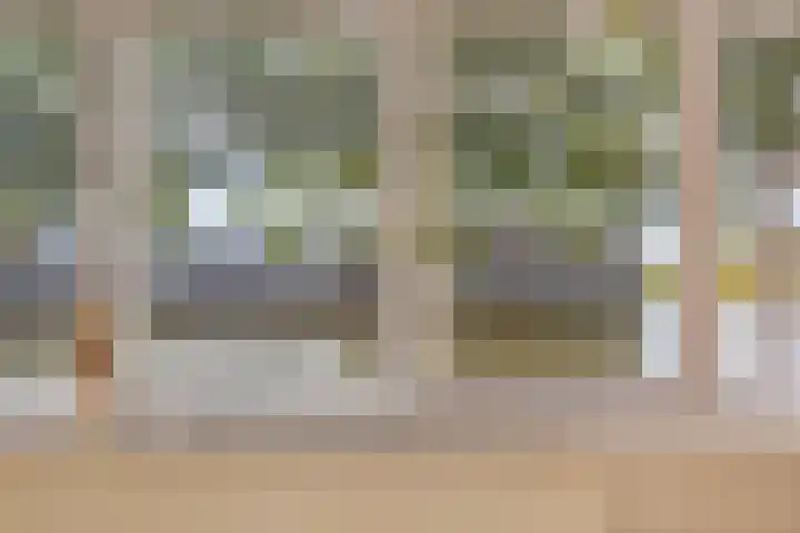 Waterviolier 190 Breda thumbnail 22