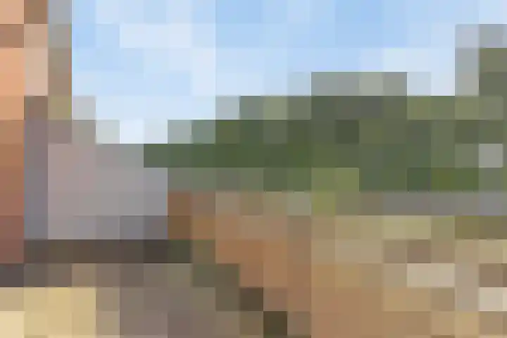 Waterviolier 190 Breda thumbnail 27