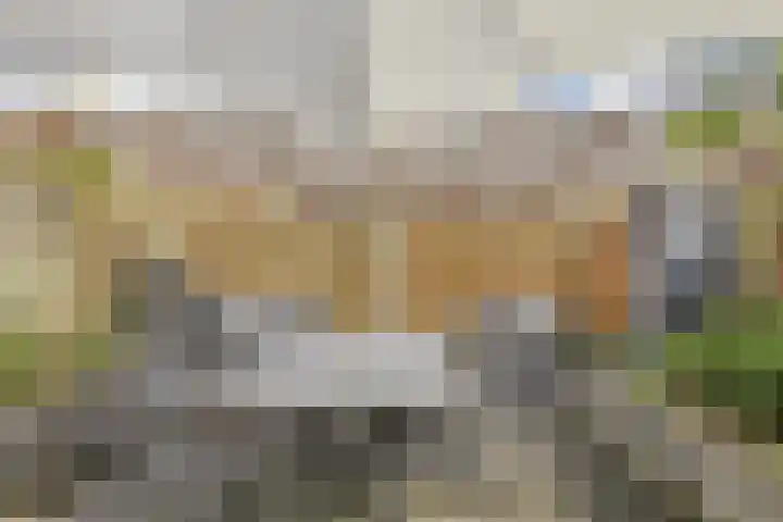 Waterviolier 190 Breda thumbnail 32