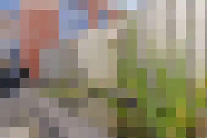 Waterviolier 190 Breda thumbnail 34