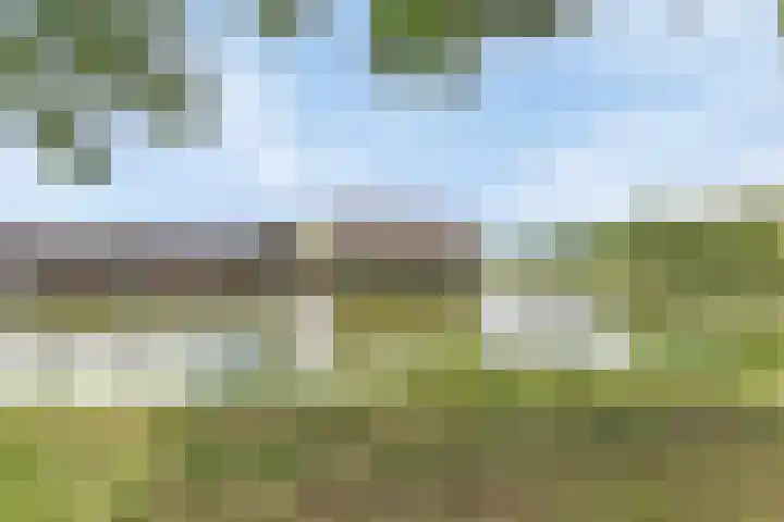 Waterviolier 190 Breda thumbnail 35