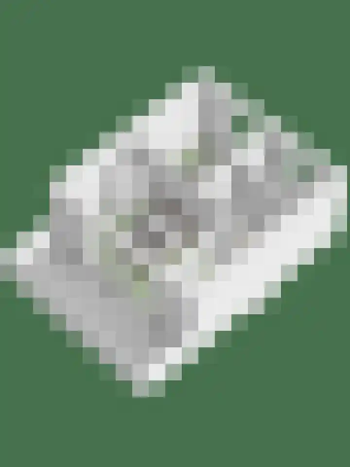 Waterviolier 190 Breda thumbnail 42