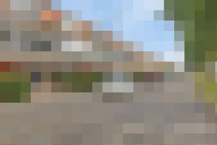 Waterviolier 190 Breda thumbnail 6