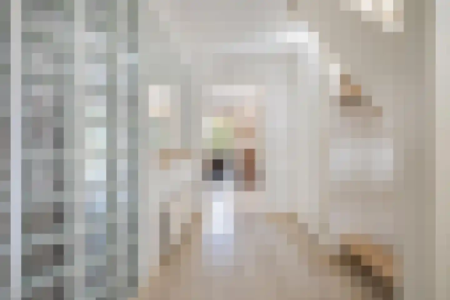 Waterviolier 21 Breda thumbnail 13