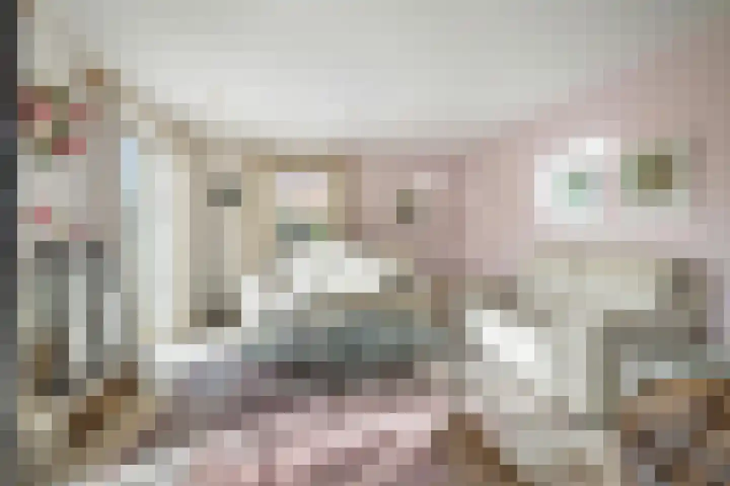 Waterviolier 21 Breda thumbnail 17