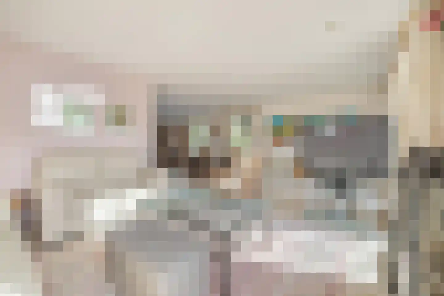 Waterviolier 21 Breda thumbnail 18