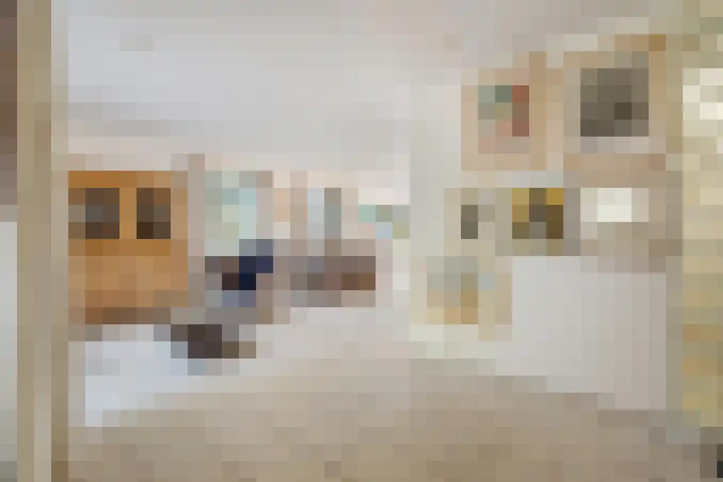Waterviolier 21 Breda thumbnail 23