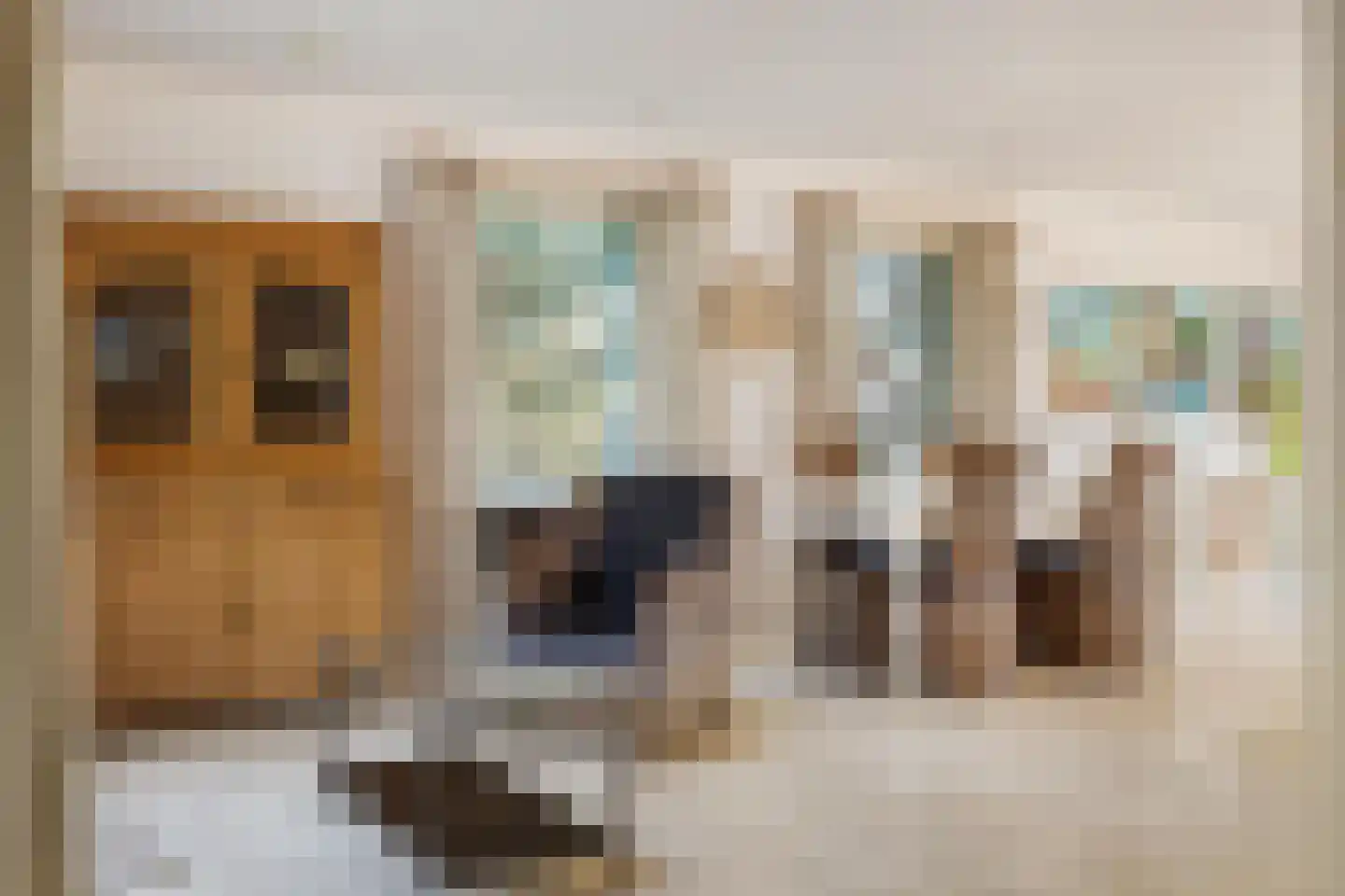Waterviolier 21 Breda thumbnail 24