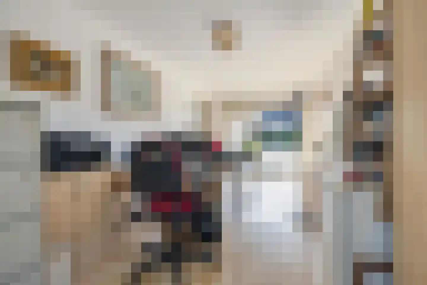 Waterviolier 21 Breda thumbnail 34