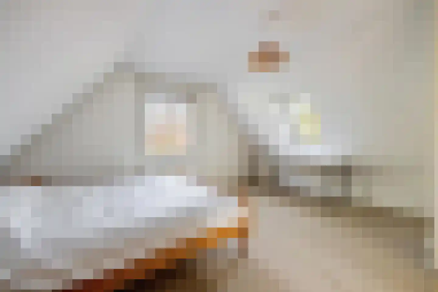 Waterviolier 21 Breda thumbnail 4