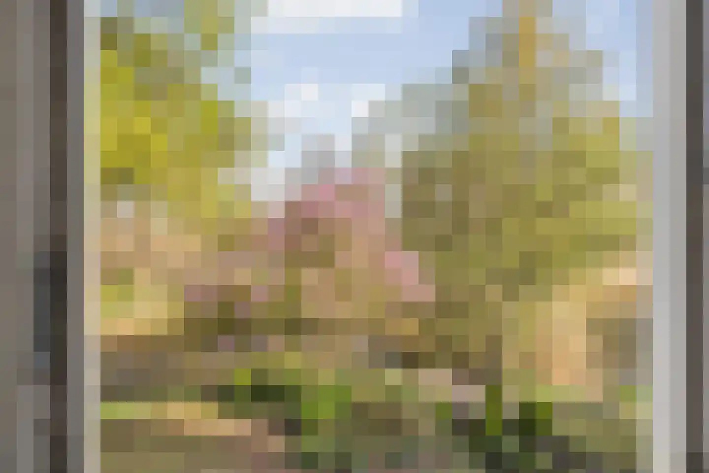 Waterviolier 21 Breda thumbnail 40