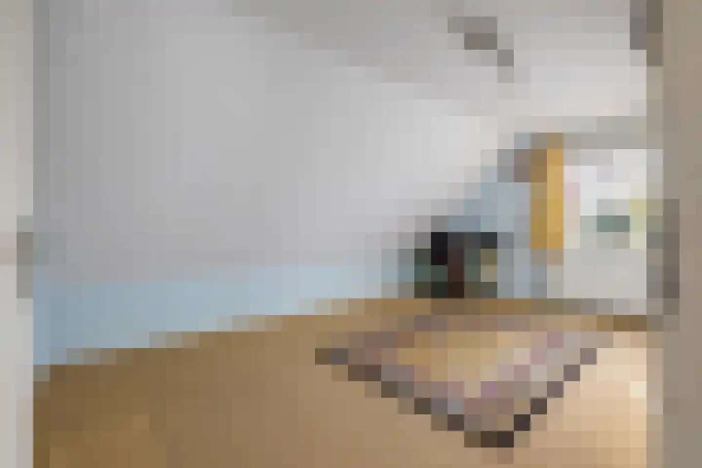 Waterviolier 21 Breda thumbnail 44