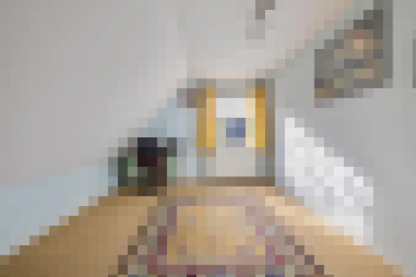 Waterviolier 21 Breda thumbnail 45
