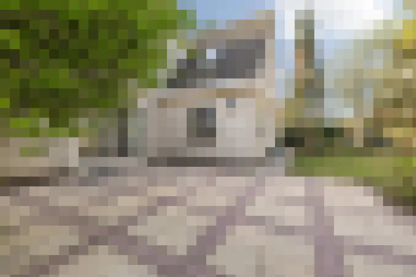 Waterviolier 21 Breda thumbnail 56