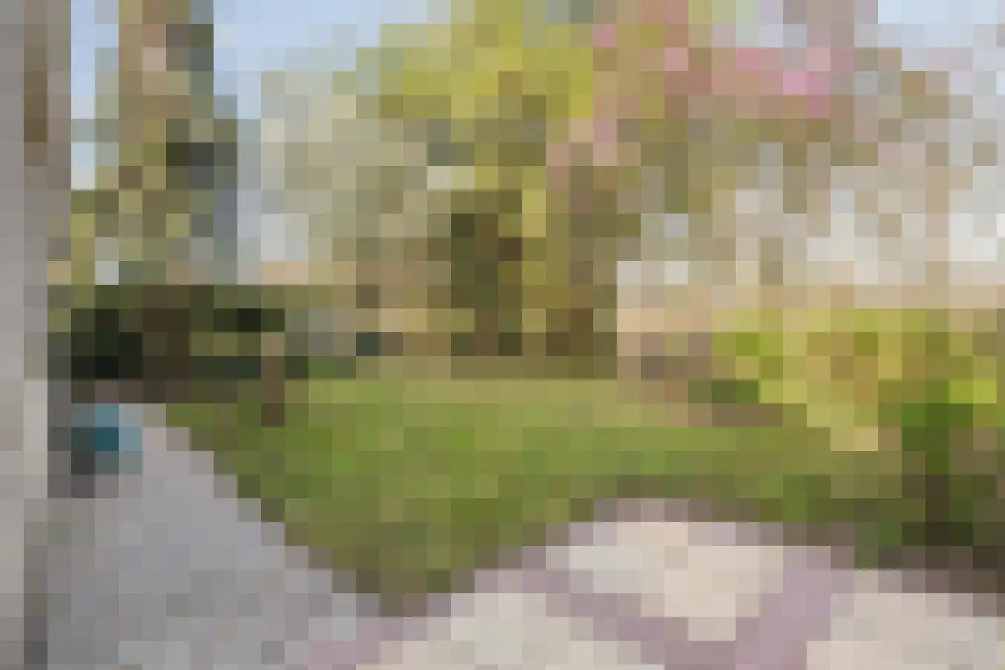 Waterviolier 21 Breda thumbnail 57