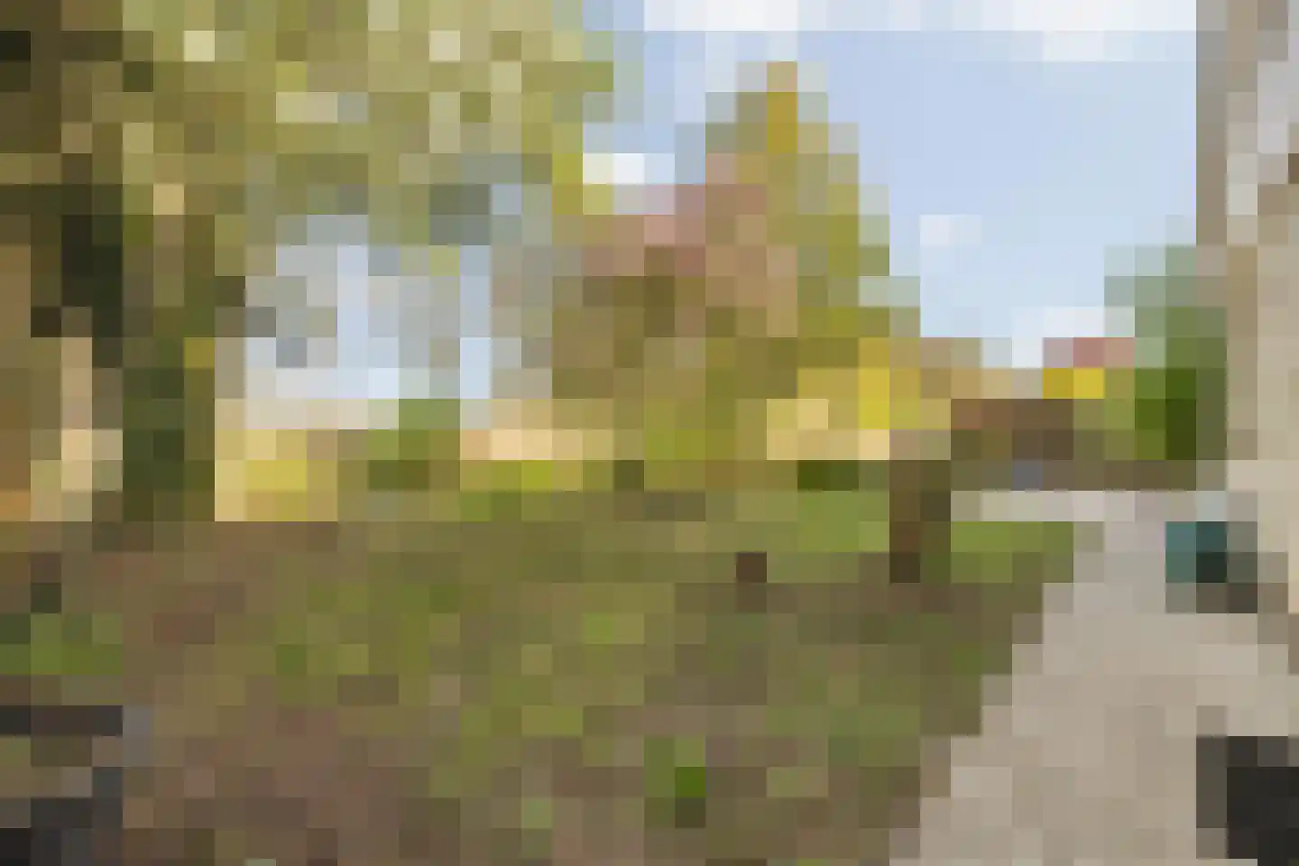 Waterviolier 21 Breda thumbnail 58