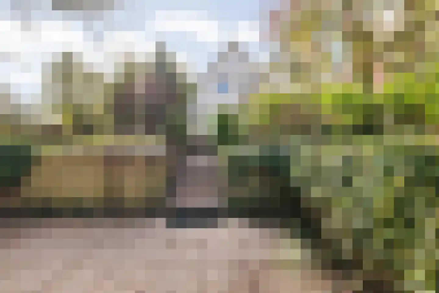 Waterviolier 21 Breda thumbnail 59