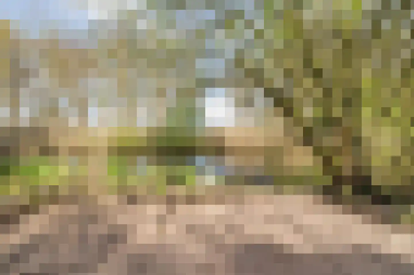 Waterviolier 21 Breda thumbnail 62