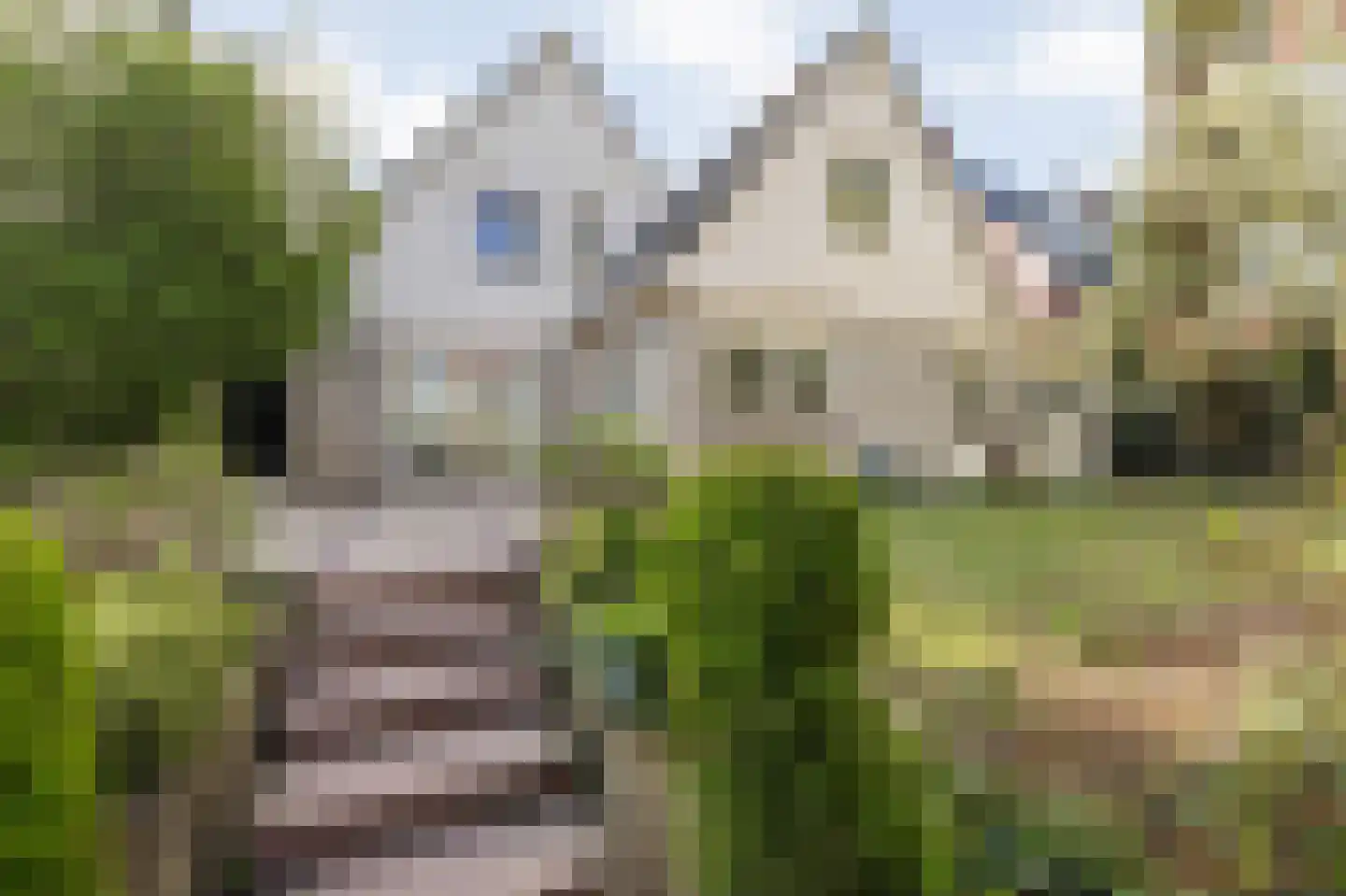 Waterviolier 21 Breda thumbnail 63