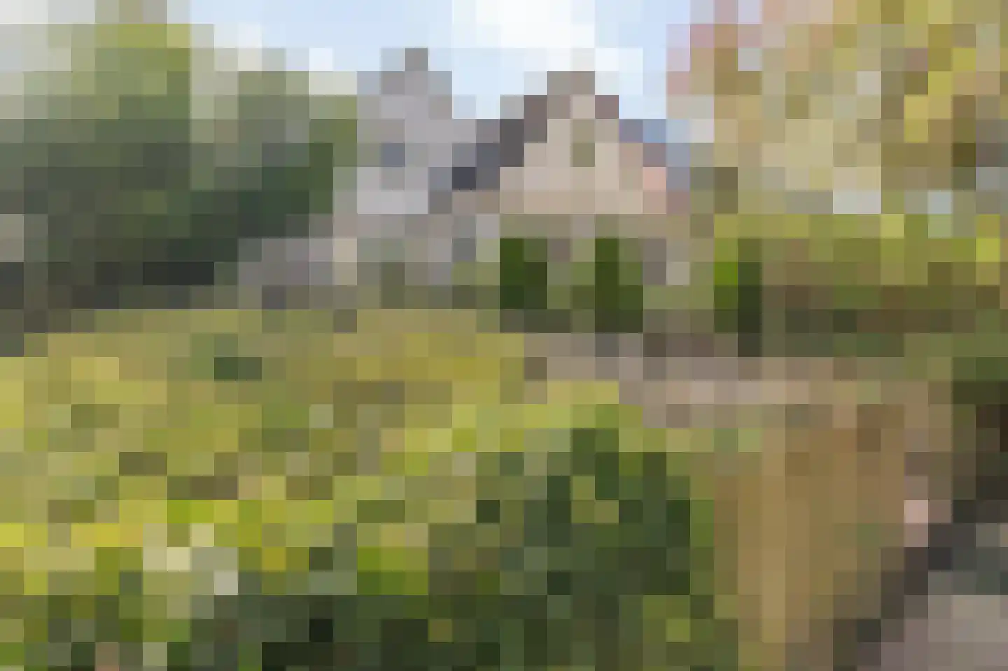 Waterviolier 21 Breda thumbnail 64