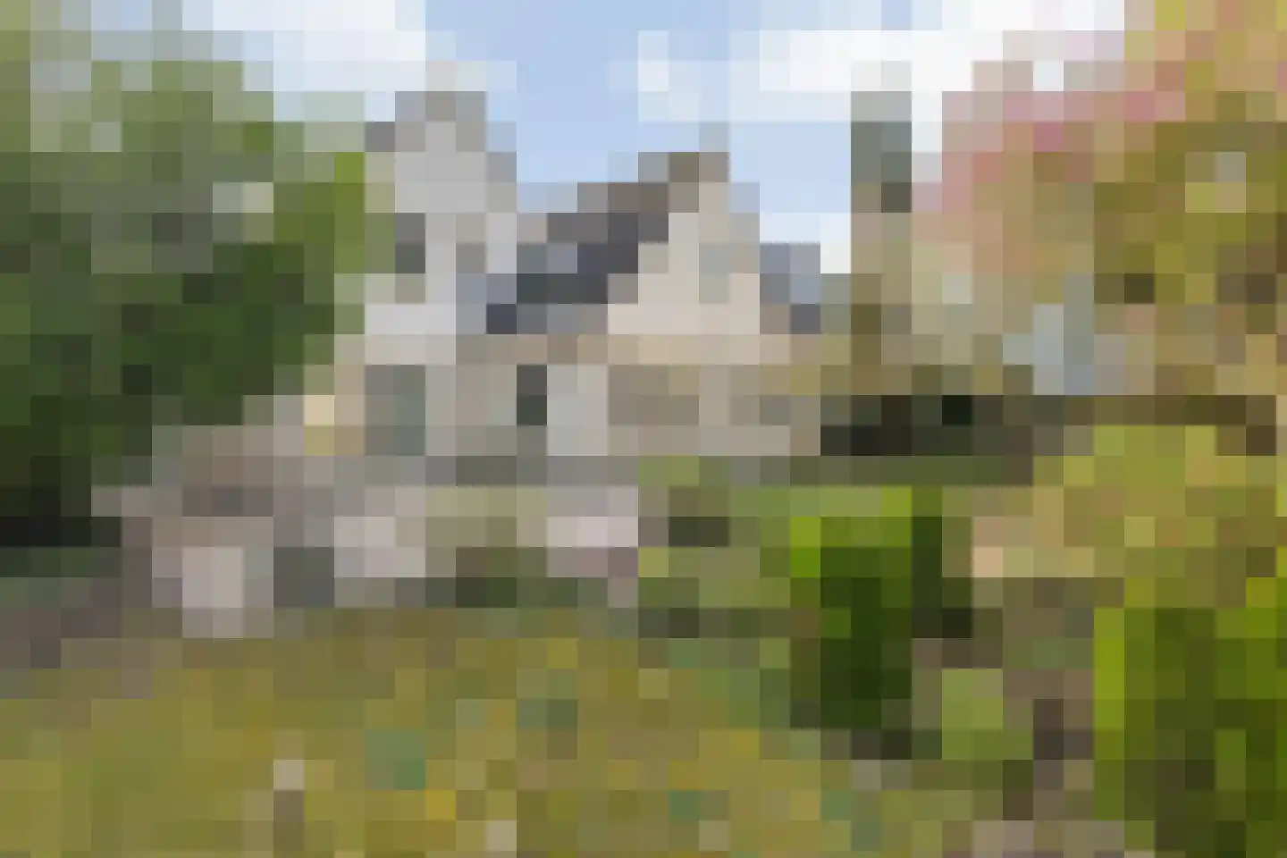 Waterviolier 21 Breda thumbnail 65