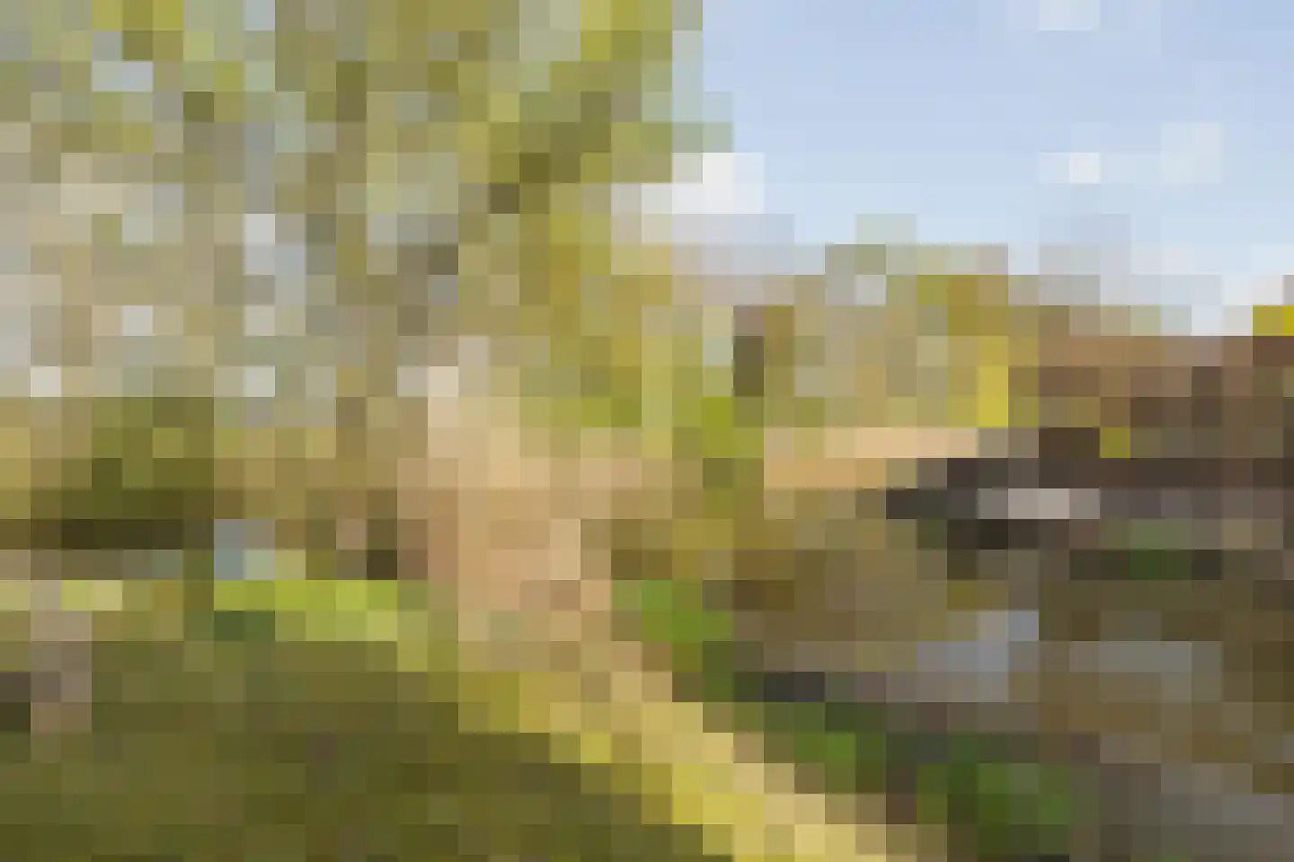 Waterviolier 21 Breda thumbnail 67