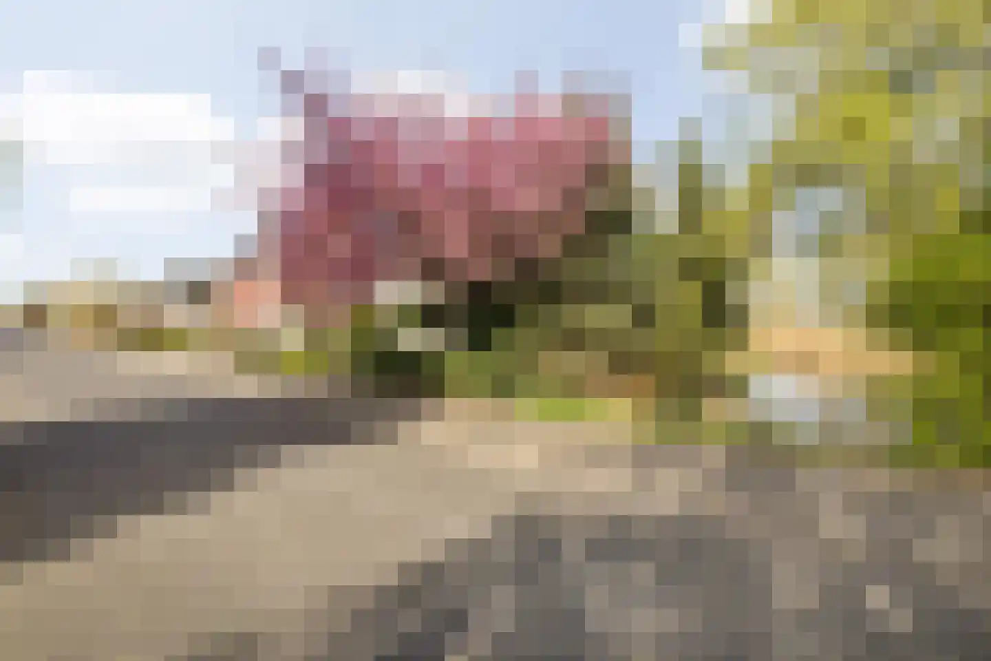 Waterviolier 21 Breda thumbnail 68