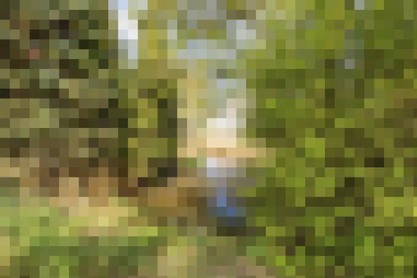 Waterviolier 21 Breda thumbnail 69