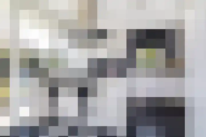 Waterviolier 216 Breda thumbnail 21