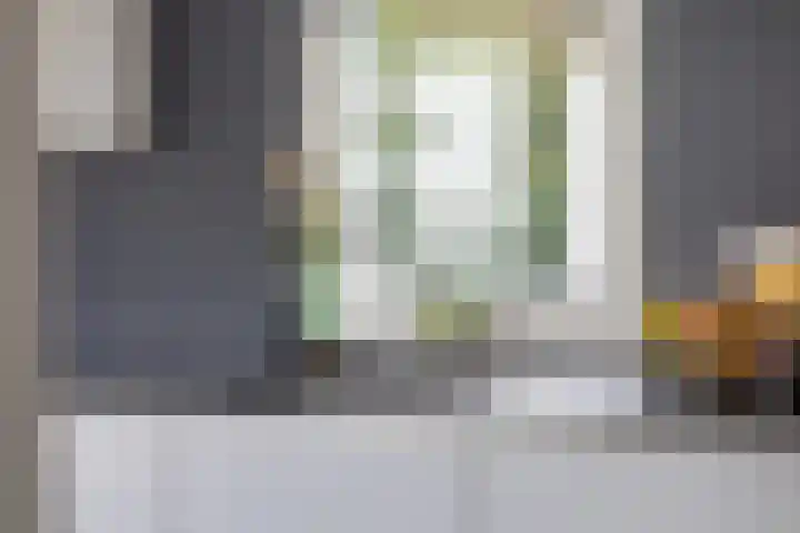 Waterviolier 216 Breda thumbnail 24