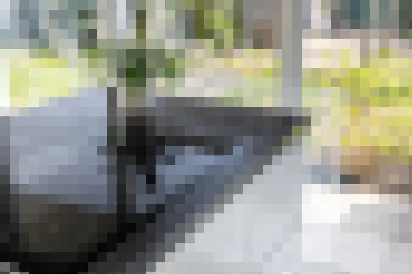 Waterviolier 216 Breda thumbnail 26