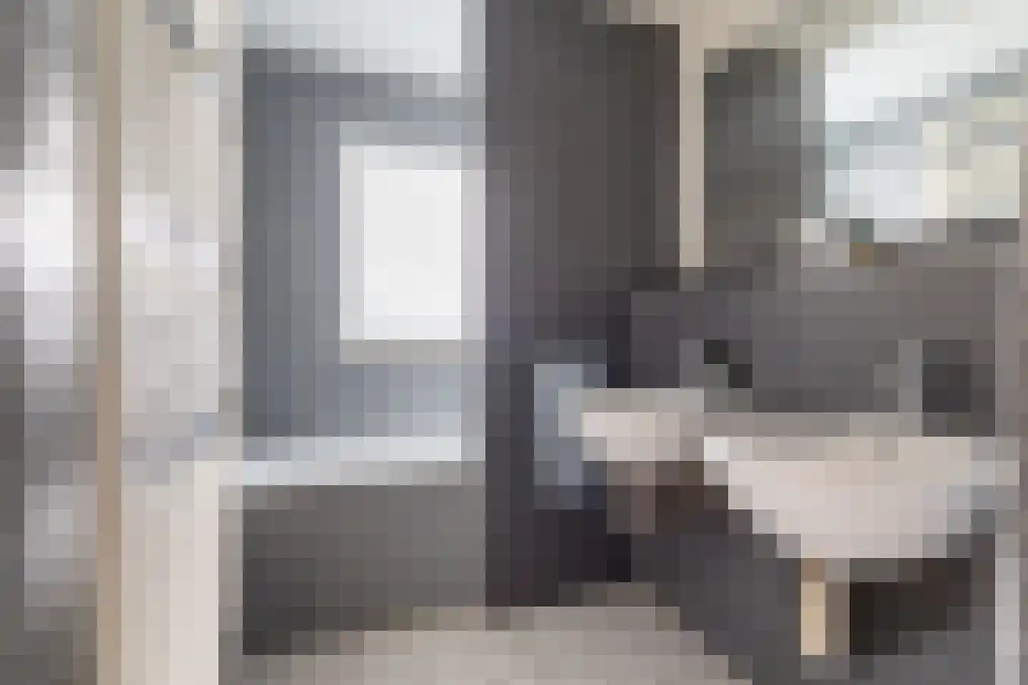 Waterviolier 216 Breda thumbnail 31