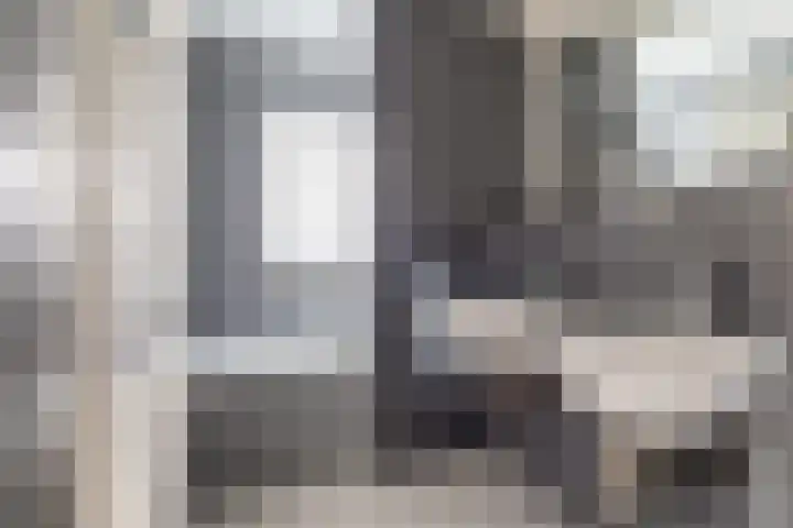 Waterviolier 216 Breda thumbnail 31