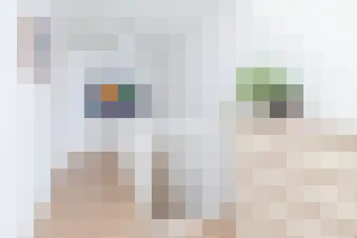 Waterviolier 216 Breda thumbnail 32