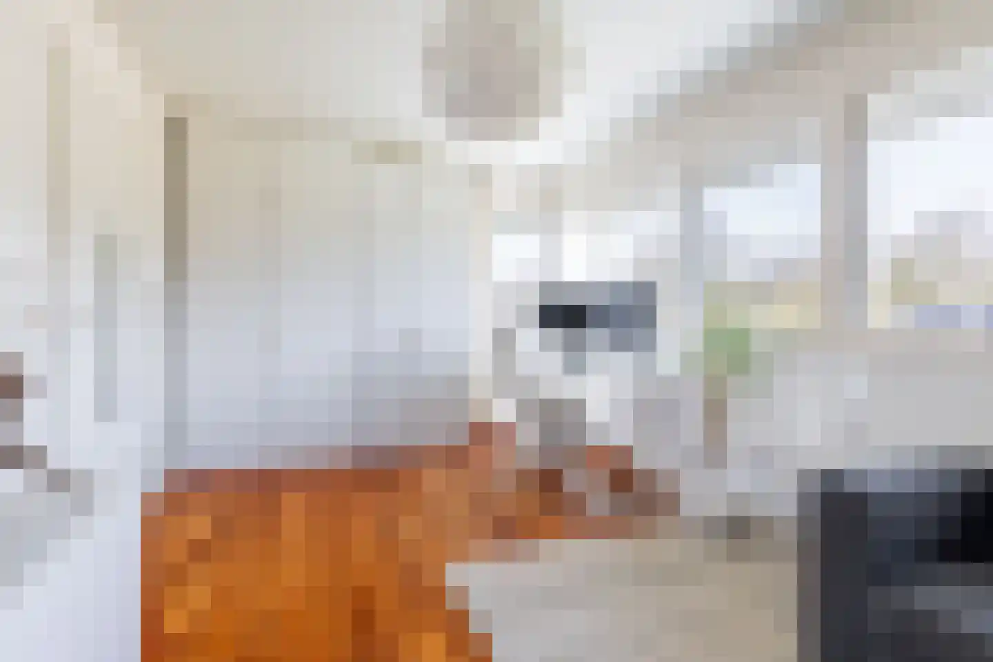 Waterviolier 216 Breda thumbnail 34