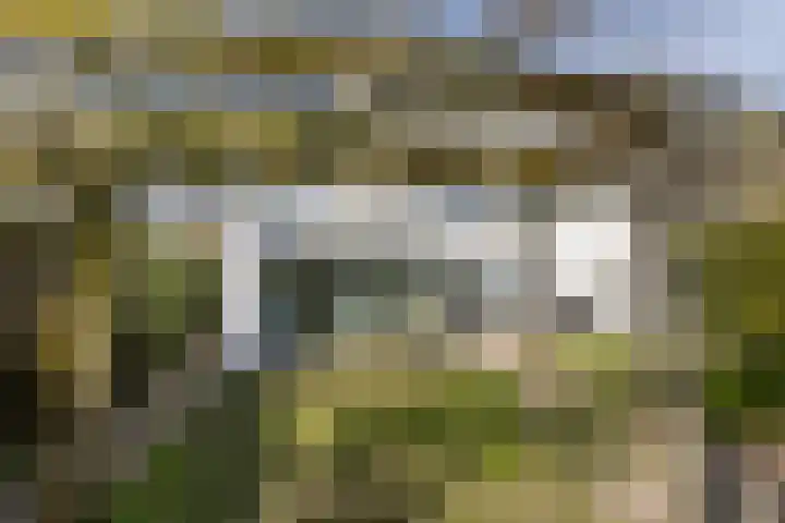 Waterviolier 216 Breda thumbnail 49