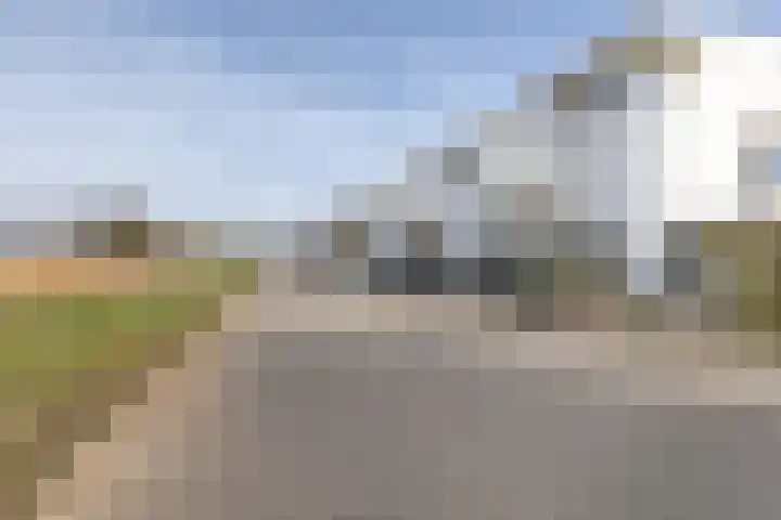Waterviolier 216 Breda thumbnail 52