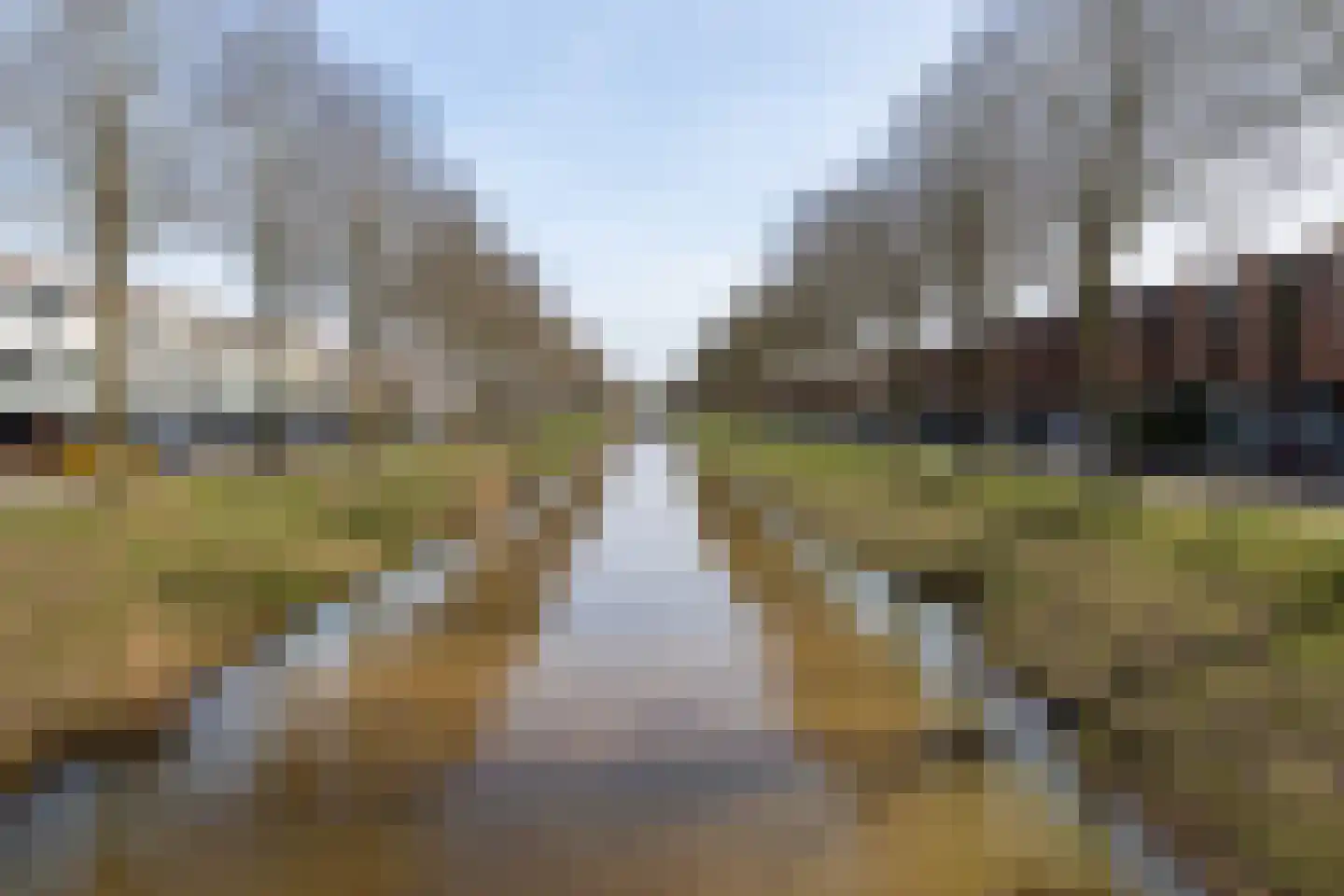 Waterviolier 216 Breda thumbnail 53