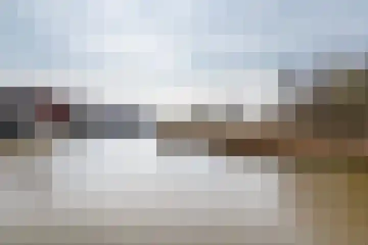 Waterviolier 216 Breda thumbnail 55