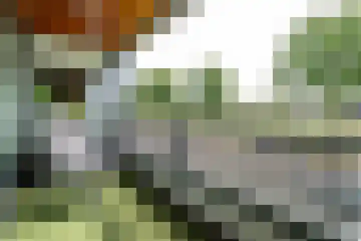 Waterviolier 30 Breda thumbnail 19