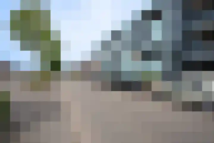Waterviolier 30 Breda thumbnail 27