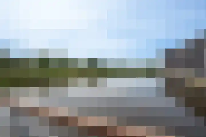 Waterviolier 30 Breda thumbnail 29